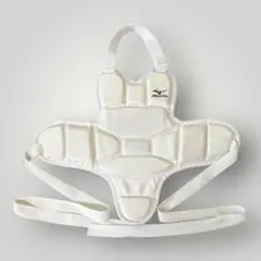 Mizuno 空手 防具 ボディプロテクター　Sサイズ
