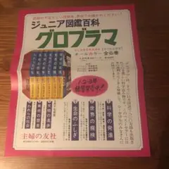 ジュニア図鑑百科グロブラマ　チラシ