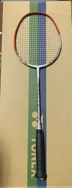 ナノレイ20