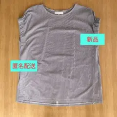 【新品・匿名配送】anysis シルケットストライプフレンチスリーブ カットソー