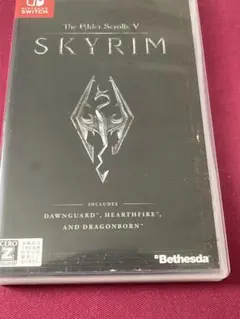 Skyrim ソフト