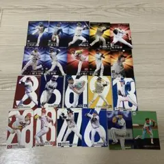 プロ野球 チップスキラカードセット