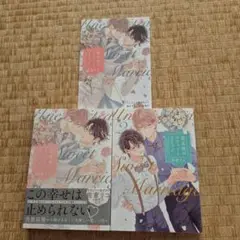 想定外のスイートマリッジ　1.2セット　佐倉リコ　アニメイト限定　小冊子付き