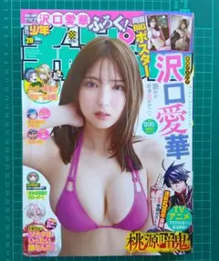 沢口愛華　週刊少年チャンピオン　両面BIGポスター付