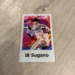 菅野選手　ジャイアンツ　18番