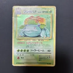 【2点目から200円引き】フシギバナ　管理番号:25081903