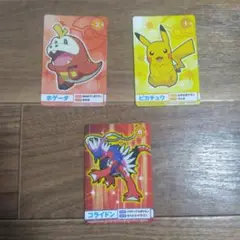 ポケモンカードセット ホゲータ ピカチュウ コライドン