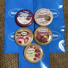 ハーゲンダッツ　オリジナル缶バッチ　5個セット