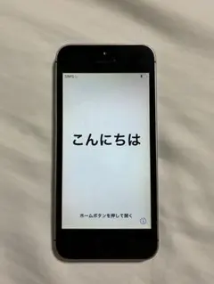 Apple iPhone SE 第一世代 スペースグレイ 本体