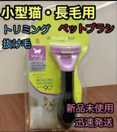 Item thumbnail for item f12912d2-6455-4711-ab7a-318d30ca06ed