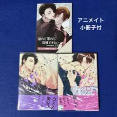 溢れて零れて、我慢できない　overflow 上下　やまち　アニメイト小冊子付