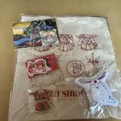 魔法騎士レイアースの獅堂光のセットです
