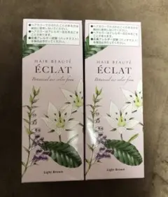 ヘアボーテ エクラ ボタニカルエアカラーフォーム ライトブラウン 80g