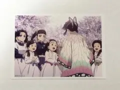 鬼滅の刃 無限城編 物販 胡蝶しのぶ追憶ブロマイドセット しのぶ カナヲ アオイ