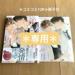欲望の月　コミコミ　小冊子　藤咲ねねば　BL新刊