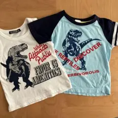 恐竜110㎝ 袖なし&半袖Tシャツ2枚セット ティラノ&ラプトル￼