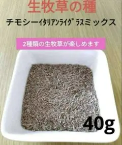 Item thumbnail for item b6f8d003-c06c-4d4f-9cbc-ce0e59ef2a61