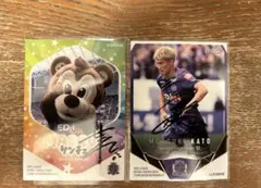 サンフレッチェ広島加藤陸次樹サイン入りカード