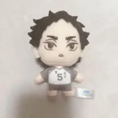 ハイキュー　赤葦　セガラッキーくじ ぬいぐるみ
