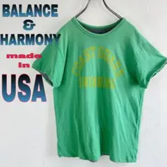 バランス＆ハーモニー アメリカ製 ヴィンテージテイスト リバーシブル Tシャツ