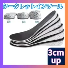 ▼3cm UP シークレットインソール 中敷き 身長アップ レディース メンズ