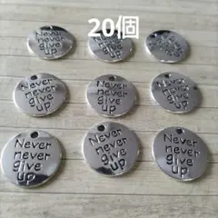 ネバーギブアップ　シルバーチャーム【20個】