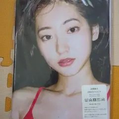 武田玲奈　両面抱き枕カバー90cm×45cm　新品未使用