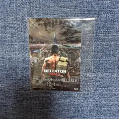 RIZINポテトスティック　RIZIN.20 堀口恭司