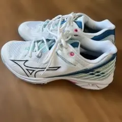 ミズノ　ウェーブクロー3 バドミントンシューズ 24.5cm