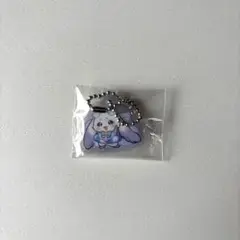 ルンルン アクキー でびるんsummer