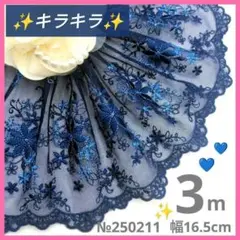 №250211 チュールレース