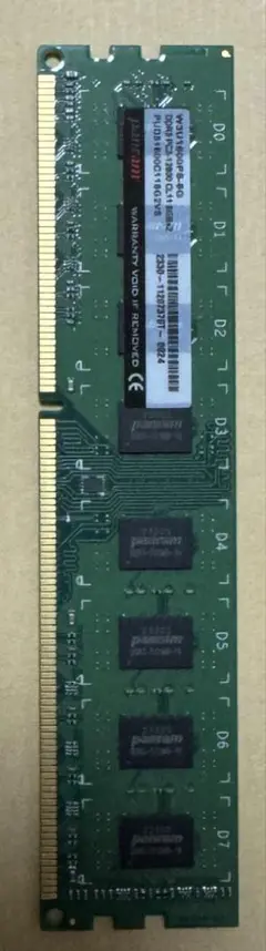 PANRAM W3U1600PS-IG DDR3 8GB