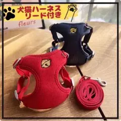 Item thumbnail for item adcd0b88-2335-4c1e-8ccb-e192c8eb7bb4