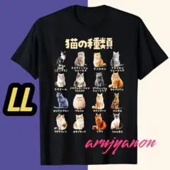 O八大きいサイズ Tシャツ LL ブラック 黒 猫 可愛い半袖 おもしろいねこ1