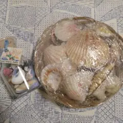 Item thumbnail for item 5be40e1a-9780-4511-b526-ce9e5b8f7a21