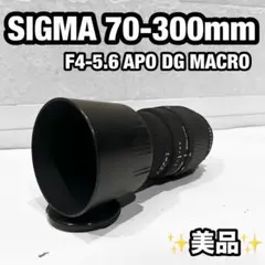 Item thumbnail for item a2c1b203-c6d9-4194-a2c0-d34b998e7d39