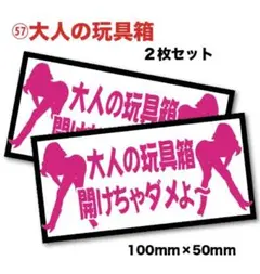 新品★送料込★おもしろステッカー大人の玩具箱注意喚起エロネタ耐水2枚セクシー