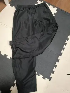 Item thumbnail for item 0050e3cb-94c5-4452-b3f2-89581d1362c9