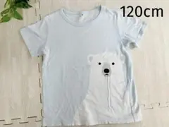 みんとさま専用ページ◡̈⃝︎⋆︎*