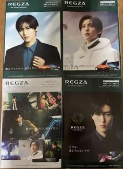 目黒蓮　REGZA カタログ