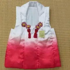 Item thumbnail for item c49ac538-c4f7-4fda-bb4a-63e9722dacd3
