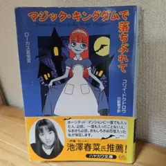 2025年最新】マジックキングダムで落ちぶれての人気アイテム