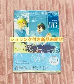 【シュリンク付き新品未開封】平野と鍵浦 6巻 春園ショウ ②
