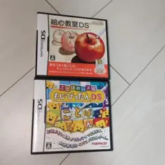 Nintendo DS ２本セット　絵心教室　もじぴったん　レトロゲーム　動作品