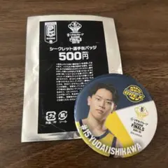 宇都宮ブレックス 缶バッジ