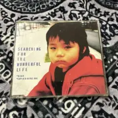 SEARCHING FOR THE WONDERFUL LIFE
