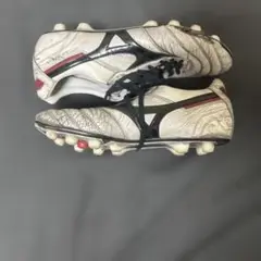 モレリア2jpan