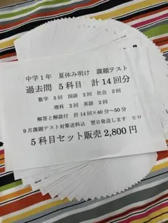 中学１年　夏の課題テスト対策　過去問やテスト問題五科目の確認向け　後10点