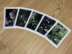 Item thumbnail for item 3ea07f89-cbdf-4335-b660-787ce2914017