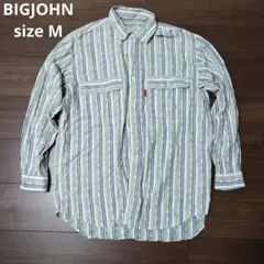 古着 BIGJOHN 長袖シャツ 柄シャツ ストライプ グリーン